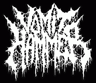 logo Vomit Hammer logo Vomit Hammer